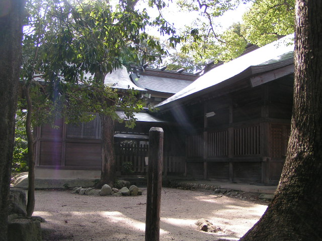 kikuchi13.jpg